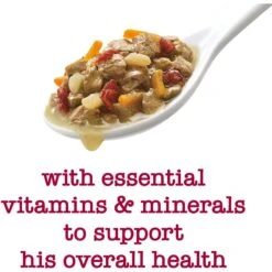 Purina Beneful Medleys Tuscan Style Canned Dog Food -Pet Wellness 100126 PT3. AC SS1800 V1700157804