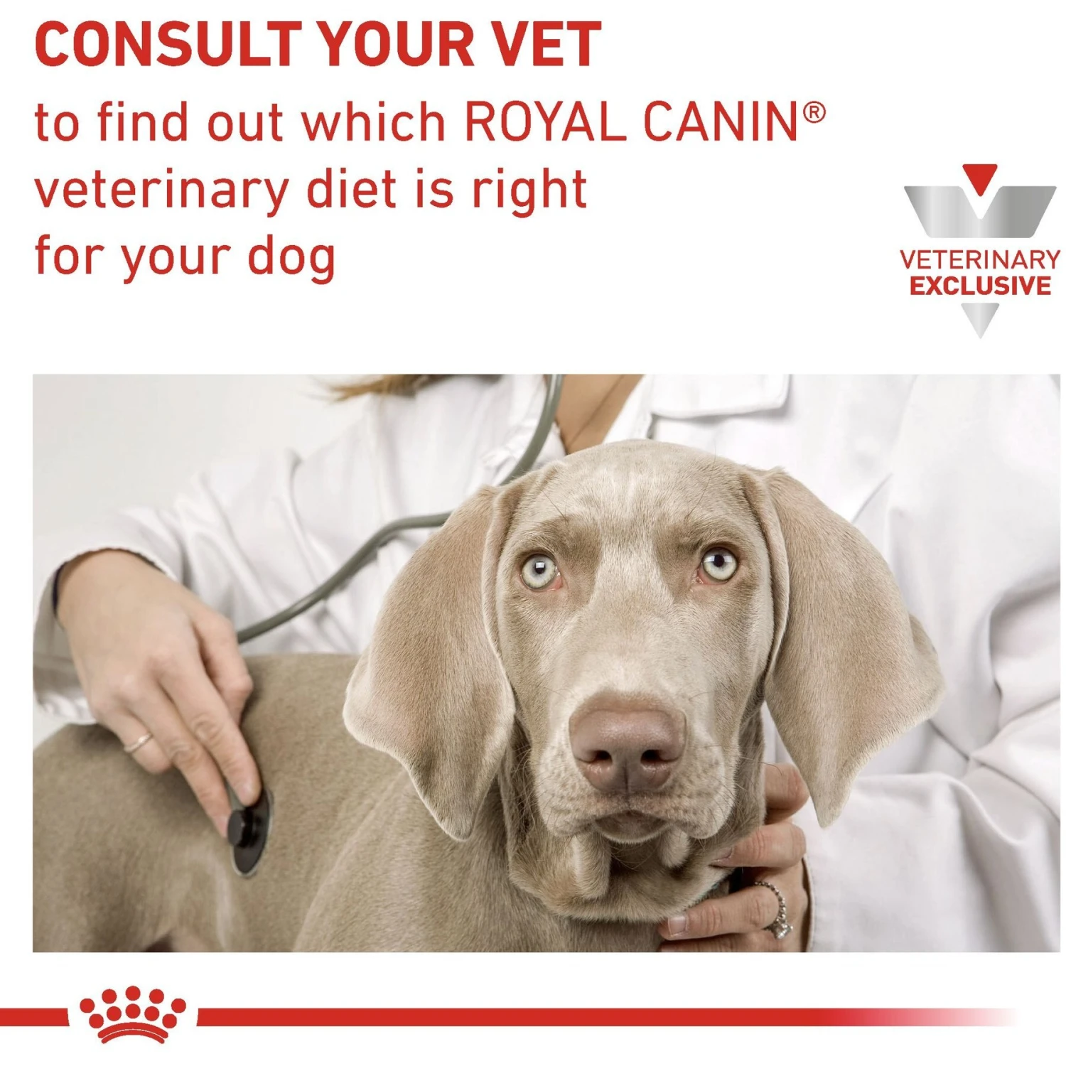 Royal Canin Veterinary Diet Adult Urinary Dog Treats 7 Royal Canin Veterinary Diet Adult Urinary Dog Treats - Image 7