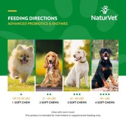 NaturVet Advanced Probiotics & Enzymes Plus Vet Strength PB6 Probiotic Soft Chews Digestive Supplement For Dogs -Pet Wellness 100644 PT6. AC SS1800 V1698695023
