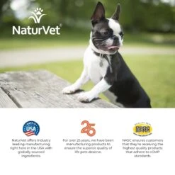NaturVet Advanced Probiotics & Enzymes Plus Vet Strength PB6 Probiotic Soft Chews Digestive Supplement For Dogs -Pet Wellness 100644 PT8. AC SS1800 V1698691725