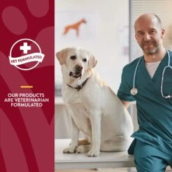 NaturVet Bladder Support Plus Cranberry Soft Chews Urinary Supplement For Dogs -Pet Wellness 100646 PT5. AC SS1800 V1698694018