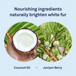 Petpost Tear Stain Wipes For Dogs -Pet Wellness 101077 PT2. AC SS1800 V1626744399