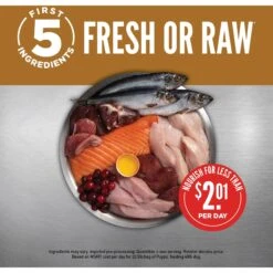 ORIJEN Puppy Grain-Free Dry Puppy Food -Pet Wellness 101290 PT3. AC SS1800 V1684441150