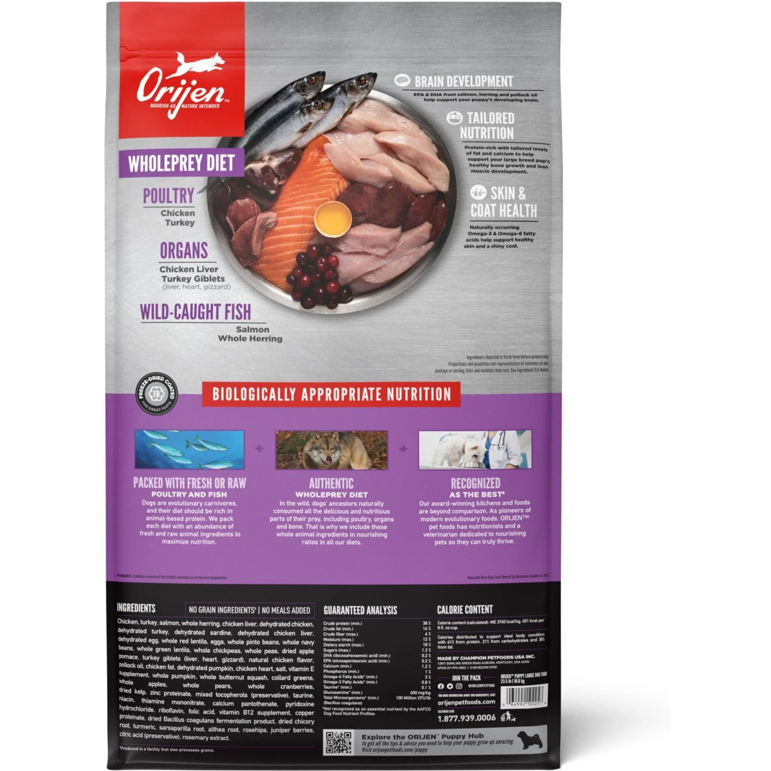 ORIJEN Puppy Large Grain-Free Dry Puppy Food 3 ORIJEN Puppy Large Grain-Free Dry Puppy Food - Image 3