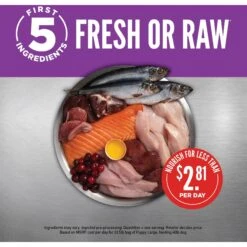 ORIJEN Puppy Large Grain-Free Dry Puppy Food 12 ORIJEN Puppy Large Grain-Free Dry Puppy Food -Pet Wellness 101293 PT3. AC SS1800 V1685631939