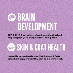 ORIJEN Puppy Large Grain-Free Dry Puppy Food 13 ORIJEN Puppy Large Grain-Free Dry Puppy Food -Pet Wellness 101293 PT4. AC SS1800 V1685634971