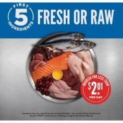 ORIJEN Original Grain-Free Dry Dog Food 12 ORIJEN Original Grain-Free Dry Dog Food -Pet Wellness 101296 PT3. AC SS1800 V1685631115