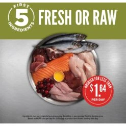 ORIJEN Senior Grain-Free Dry Dog Food -Pet Wellness 101299 PT3. AC SS1800 V1685631110