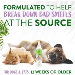 TropiClean Kiwi Blossom Deodorizing Dog & Cat Spray 11 TropiClean Kiwi Blossom Deodorizing Dog & Cat Spray -Pet Wellness 101307 PT4. AC SS1800 V1684417091