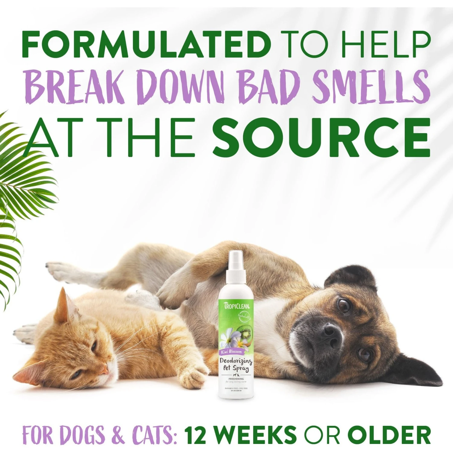TropiClean Kiwi Blossom Deodorizing Dog & Cat Spray 4 TropiClean Kiwi Blossom Deodorizing Dog & Cat Spray - Image 4
