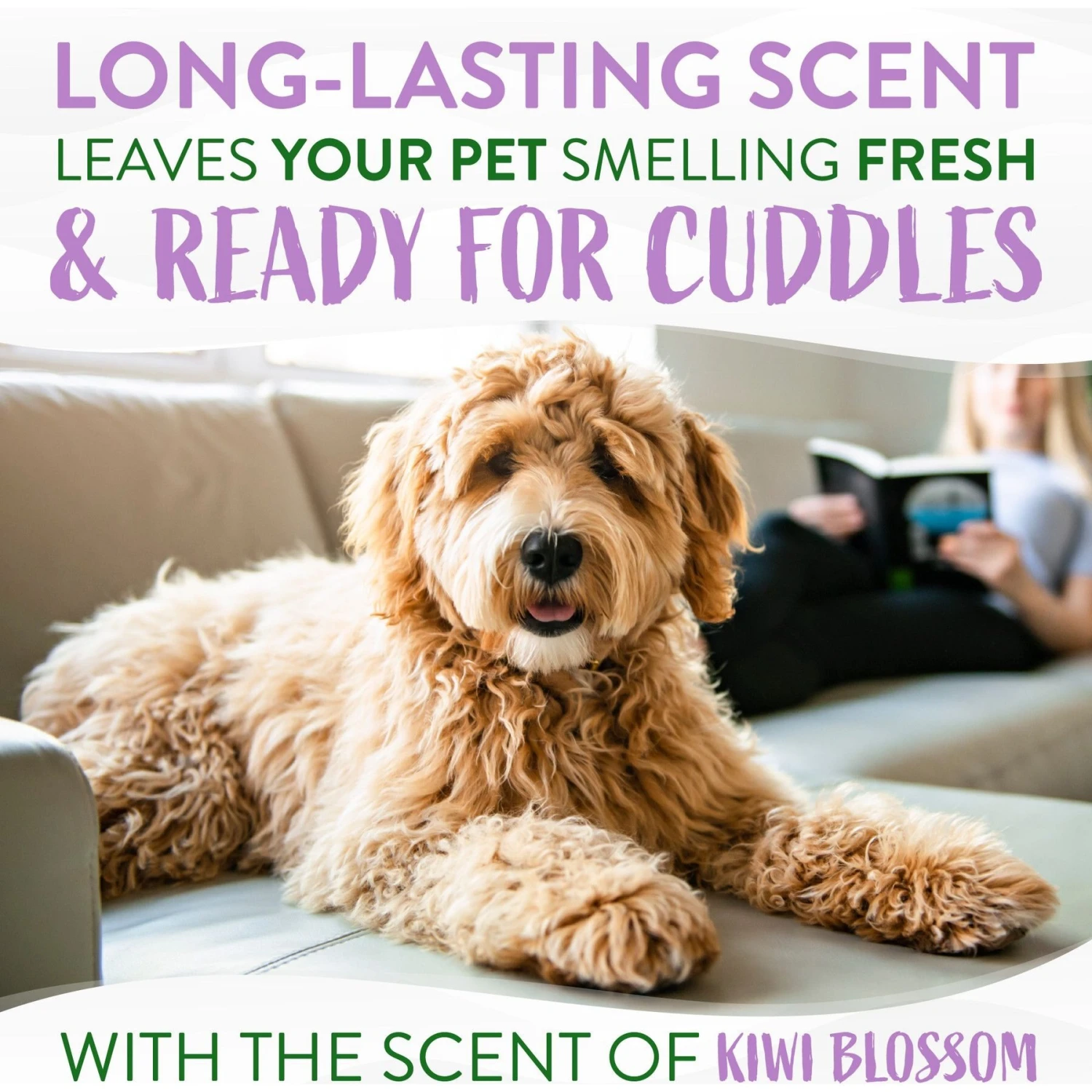 TropiClean Kiwi Blossom Deodorizing Dog & Cat Spray 5 TropiClean Kiwi Blossom Deodorizing Dog & Cat Spray - Image 5