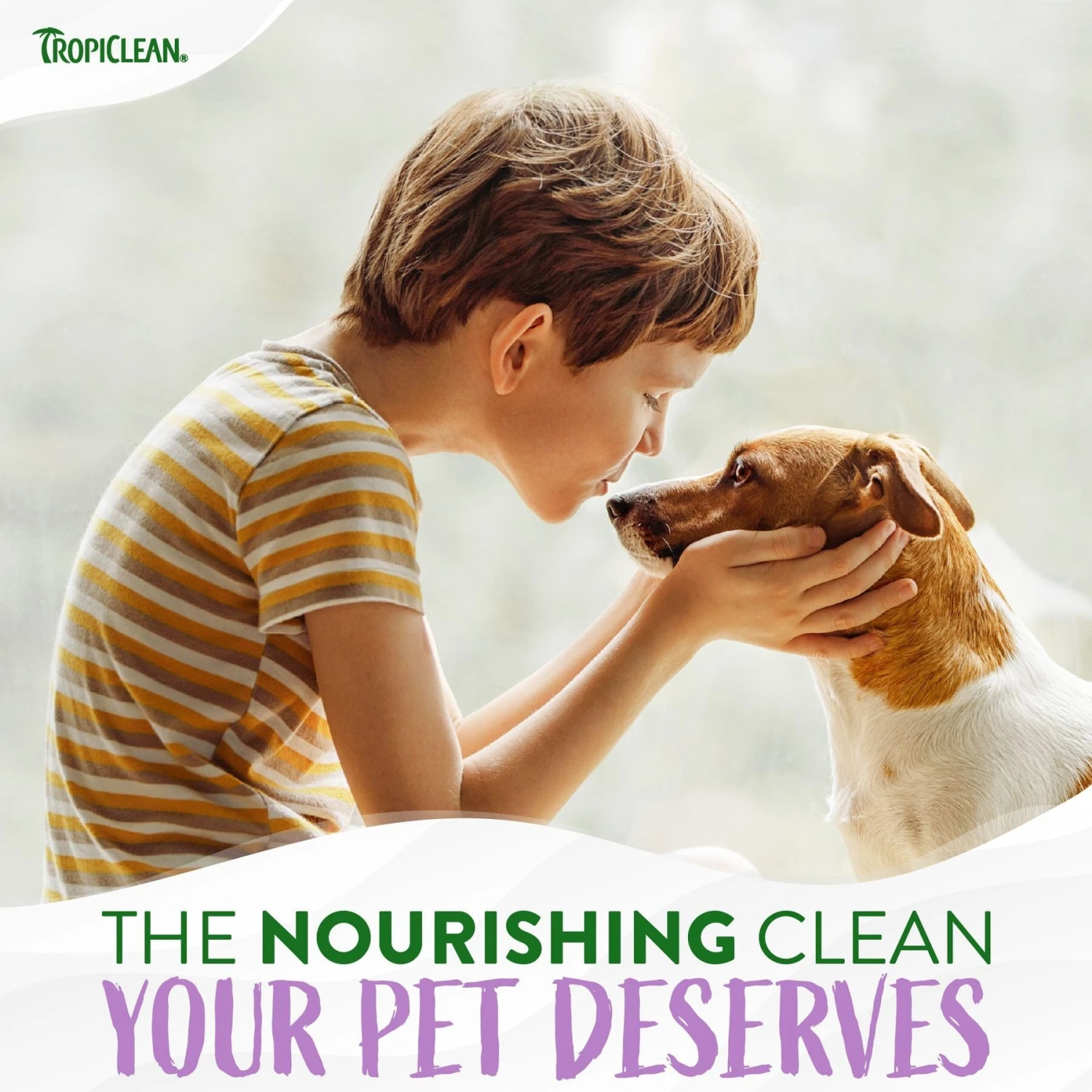 TropiClean Kiwi Blossom Deodorizing Dog & Cat Spray 8 TropiClean Kiwi Blossom Deodorizing Dog & Cat Spray - Image 8