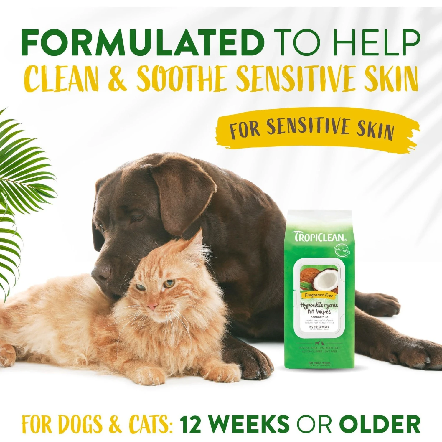 TropiClean Hypo Allergenic Deodorizing Dogs Wipes 5 TropiClean Hypo Allergenic Deodorizing Dogs Wipes - Image 5