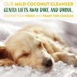 TropiClean Hypo Allergenic Deodorizing Dogs Wipes 14 TropiClean Hypo Allergenic Deodorizing Dogs Wipes -Pet Wellness 101317 PT5. AC SS1800 V1683063661