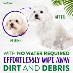 TropiClean Waterless Dog Facial Cleanser -Pet Wellness 101329 PT8. AC SS1800 V1684402981