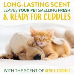 TropiClean Waterless Hypo Allergenic Dog & Cat Shampoo -Pet Wellness 101331 PT5. AC SS1800 V1684409978