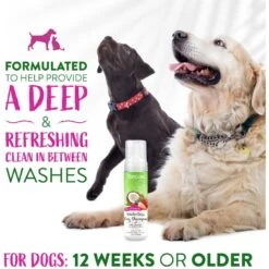 TropiClean Waterless Deep Cleaning Dog Shampoo 11 TropiClean Waterless Deep Cleaning Dog Shampoo -Pet Wellness 101333 PT4. AC SS1800 V1684406330