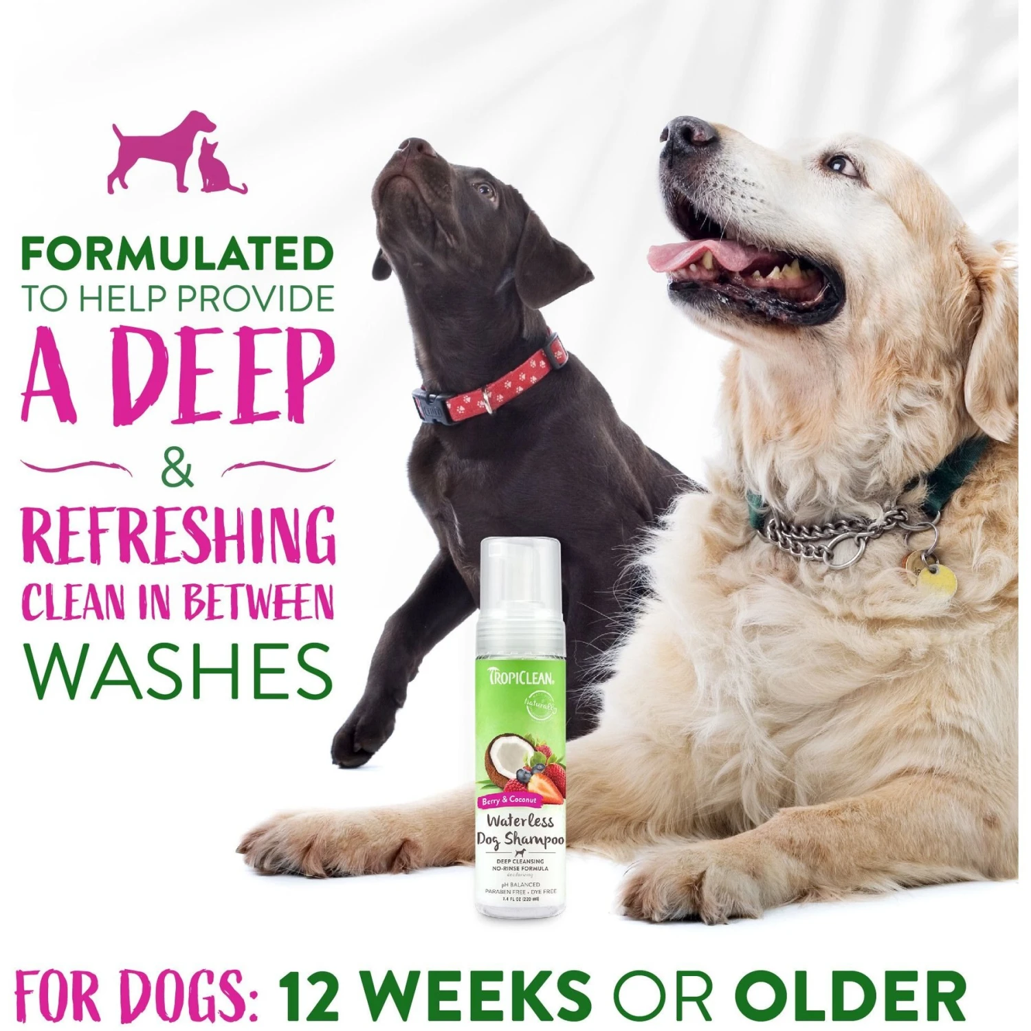 TropiClean Waterless Deep Cleaning Dog Shampoo 4 TropiClean Waterless Deep Cleaning Dog Shampoo - Image 4