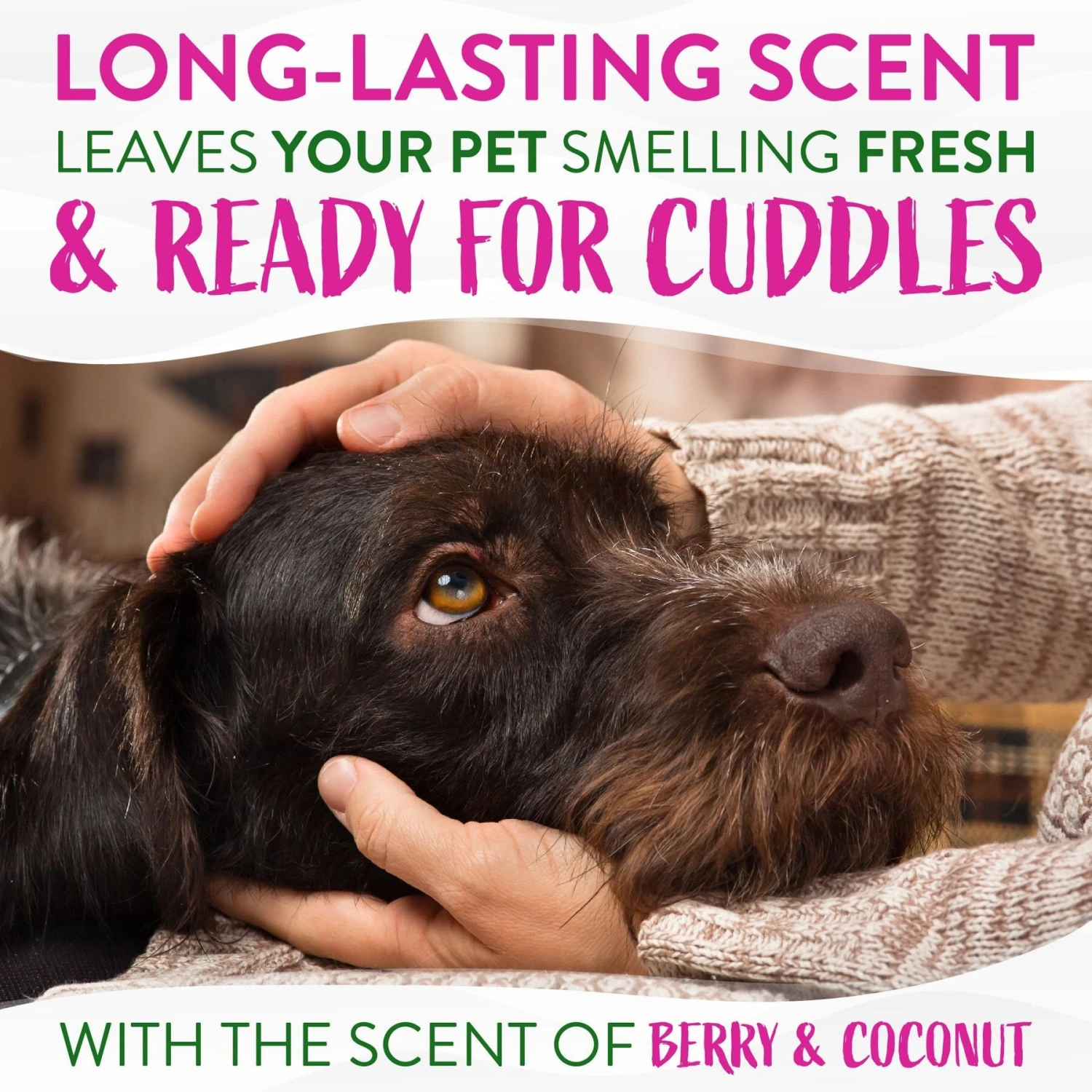 TropiClean Waterless Deep Cleaning Dog Shampoo 5 TropiClean Waterless Deep Cleaning Dog Shampoo - Image 5