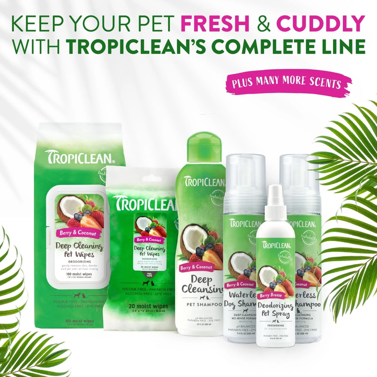 TropiClean Waterless Deep Cleaning Dog Shampoo 7 TropiClean Waterless Deep Cleaning Dog Shampoo - Image 7