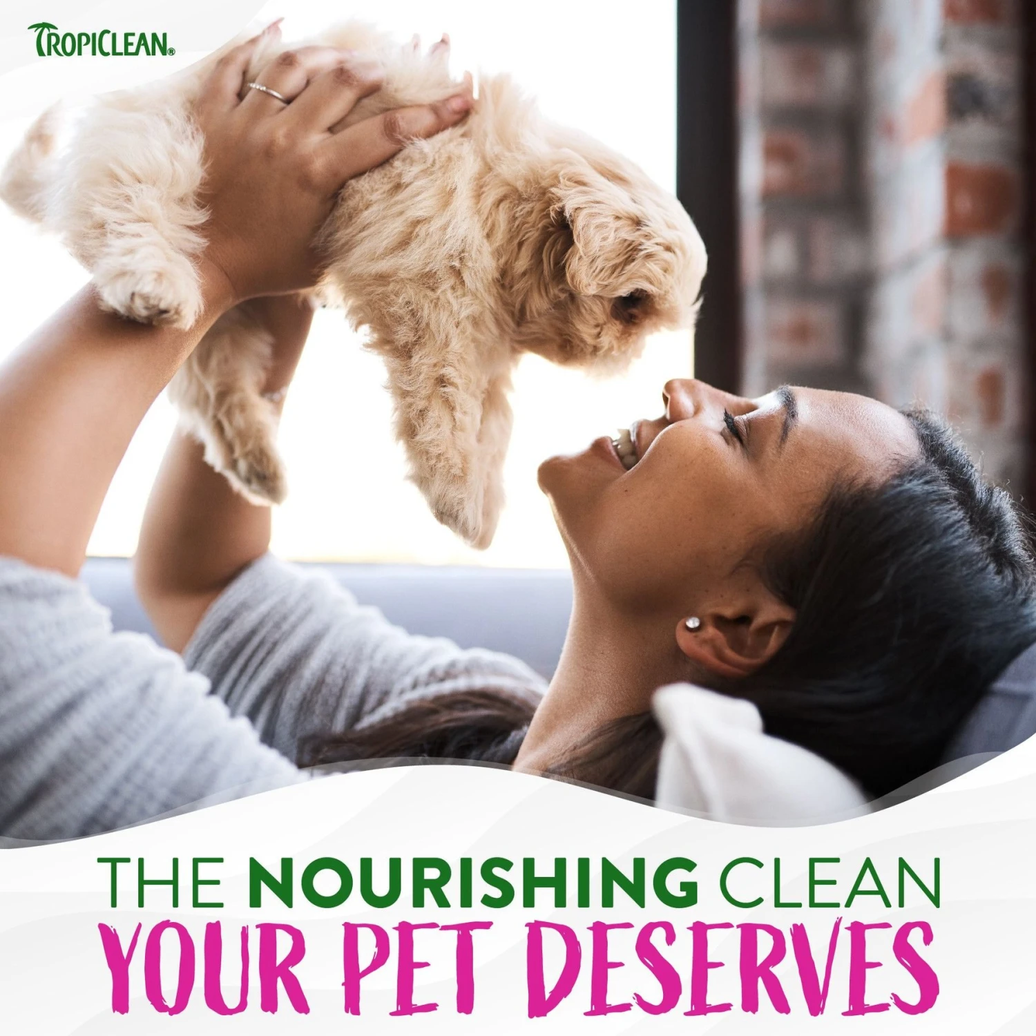 TropiClean Waterless Deep Cleaning Dog Shampoo 8 TropiClean Waterless Deep Cleaning Dog Shampoo - Image 8