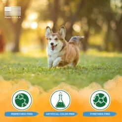 TropiClean Natural Flea & Tick Plus Soothing Dog Shampoo -Pet Wellness 101345 PT7. AC SS1800 V1684492401