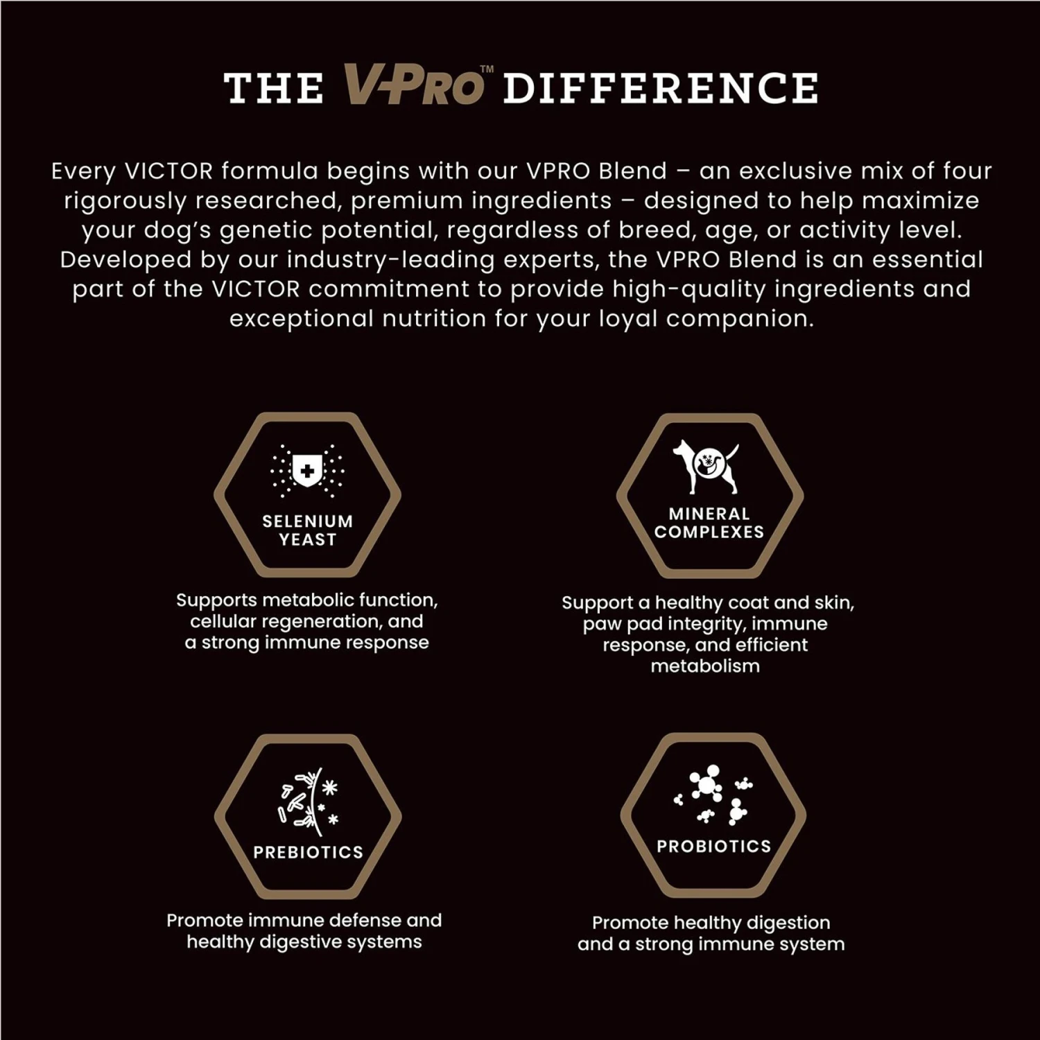 VICTOR Select Lamb Meal & Sweet Potato Recipe Grain-Free Dry Dog Food 4 VICTOR Select Lamb Meal & Sweet Potato Recipe Grain-Free Dry Dog Food - Image 4