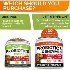 StrellaLab Vet Strength Probiotics Bacon Flavored Soft Chew Digestion & Immunity Supplement For Dogs, 120-count -Pet Wellness 1017918 PT3. AC SS1800 V1699634267