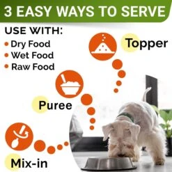 StrellaLab Pumpkin High Fiber Stool Consistency Powder Digestive Supplement For Dogs, 8.1-oz Jar -Pet Wellness 1017926 PT3. AC SS1800 V1699634237