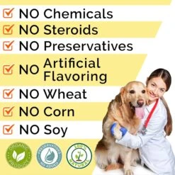 StrellaLab Pumpkin High Fiber Stool Consistency Powder Digestive Supplement For Dogs, 8.1-oz Jar -Pet Wellness 1017926 PT5. AC SS1800 V1699634237