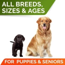 StrellaLab Pumpkin High Fiber Stool Consistency Powder Digestive Supplement For Dogs, 8.1-oz Jar -Pet Wellness 1017926 PT6. AC SS1800 V1699634236