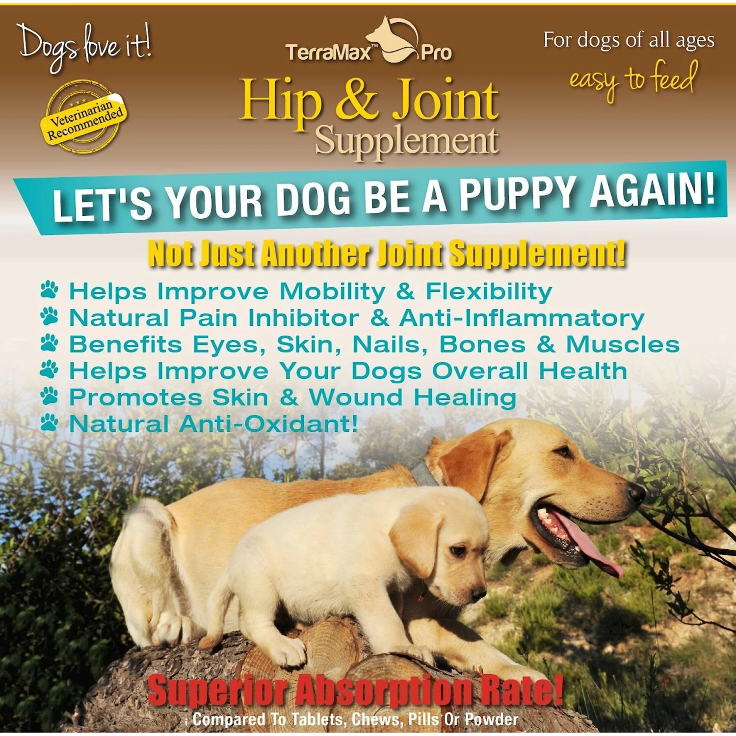 TerraMax Pro Extra Strength Dog Hip & Joint Supplement 4 TerraMax Pro Extra Strength Dog Hip & Joint Supplement - Image 4