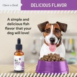 Chew + Heal Milk Thistle Tincture With Moringa Oil & Salmon Oil Liquid Kidney & Liver Health Supplement For Dogs, 2-oz Bottle 13 Chew + Heal Milk Thistle Tincture With Moringa Oil & Salmon Oil Liquid Kidney & Liver Health Supplement For Dogs, 2-oz Bottle -Pet Wellness 1021486 PT4. AC SS1800 V1700681598