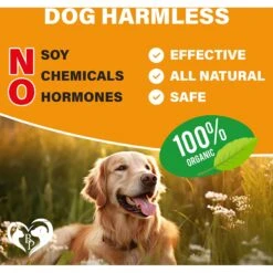 Beloved Pets Flea & Tick Prevention + Complex Multivitamin Chicken Flavored Soft Chew Flea & Tick Prevention Supplement For Dogs, 10-oz Jar -Pet Wellness 1021518 PT5. AC SS1800 V1701453048