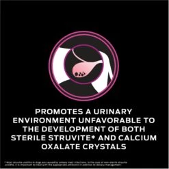 Purina Pro Plan Veterinary Diets UR Urinary Ox/St Dry Dog Food 12 Purina Pro Plan Veterinary Diets UR Urinary Ox/St Dry Dog Food -Pet Wellness 102495 PT3. AC SS1800 V1674849782