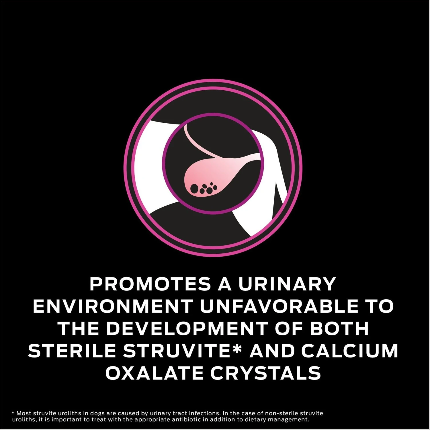 Purina Pro Plan Veterinary Diets UR Urinary Ox/St Dry Dog Food 4 Purina Pro Plan Veterinary Diets UR Urinary Ox/St Dry Dog Food - Image 4