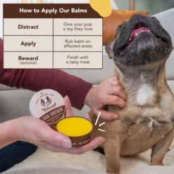 Natural Dog Company Skin Soother Dog Healing Balm & Natural Dog Company Itchy Dog Shampoo, 12-oz Bottle 13 Natural Dog Company Skin Soother Dog Healing Balm & Natural Dog Company Itchy Dog Shampoo, 12-oz Bottle -Pet Wellness 1030102 PT4. AC SS1800 V1702674053