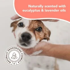Natural Dog Company Skin Soother Dog Healing Balm & Natural Dog Company Itchy Dog Shampoo, 12-oz Bottle 16 Natural Dog Company Skin Soother Dog Healing Balm & Natural Dog Company Itchy Dog Shampoo, 12-oz Bottle -Pet Wellness 1030102 PT7. AC SS1800 V1702674106
