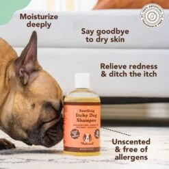 Natural Dog Company Skin Soother Dog Healing Balm & Natural Dog Company Itchy Dog Shampoo, 12-oz Bottle 17 Natural Dog Company Skin Soother Dog Healing Balm & Natural Dog Company Itchy Dog Shampoo, 12-oz Bottle -Pet Wellness 1030102 PT8. AC SS1800 V1702674055