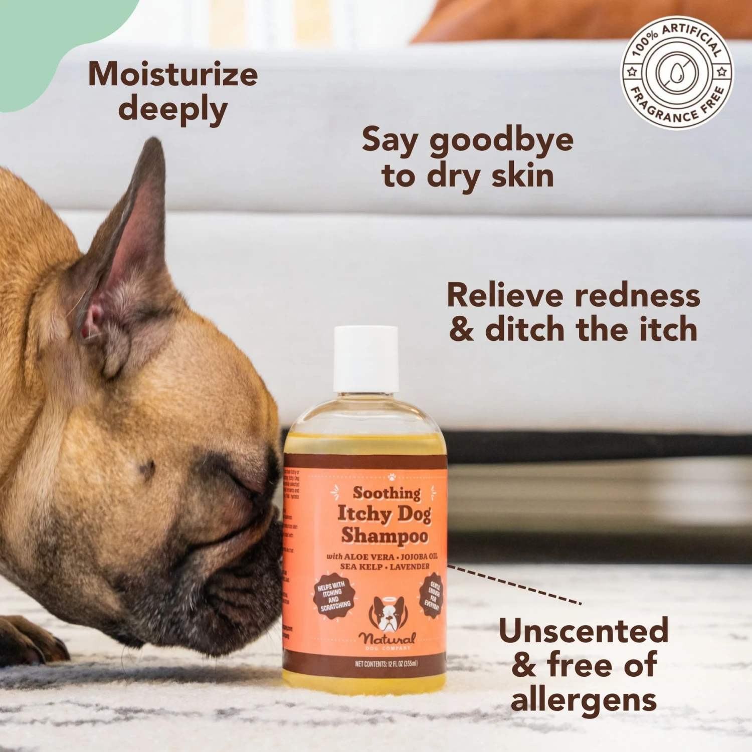 Natural Dog Company Skin Soother Dog Healing Balm & Natural Dog Company Itchy Dog Shampoo, 12-oz Bottle 9 Natural Dog Company Skin Soother Dog Healing Balm & Natural Dog Company Itchy Dog Shampoo, 12-oz Bottle - Image 9