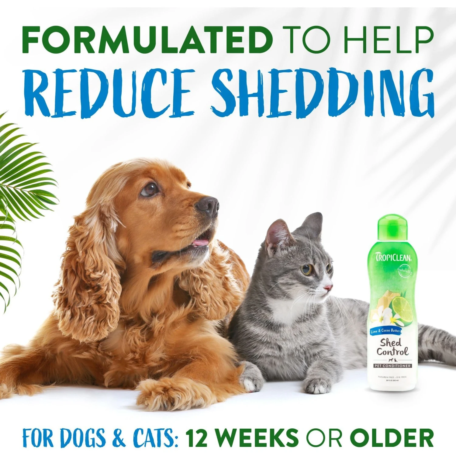 TropiClean Lime & Coconut Deshedding Dog Shampoo & TropiClean Lime & Cocoa Butter Deshedding Dog Conditioner 8 TropiClean Lime & Coconut Deshedding Dog Shampoo & TropiClean Lime & Cocoa Butter Deshedding Dog Conditioner - Image 8