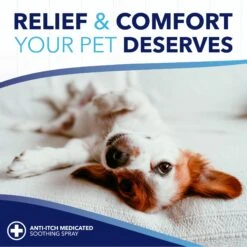 TropiClean OxyMed Medicated Anti-Itch Oatmeal Dog & Cat Shampoo & TropiClean OXY-MED Anti-Itch Spray -Pet Wellness 1030390 PT8. AC SS1800 V1702673869