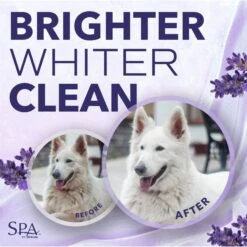 TropiClean Spa Tear Stain Cleanser For Dogs & TropiClean Spa Color White Coat Shampoo For Dogs & Cats 16 TropiClean Spa Tear Stain Cleanser For Dogs & TropiClean Spa Color White Coat Shampoo For Dogs & Cats -Pet Wellness 1030422 PT7. AC SS1800 V1702673809