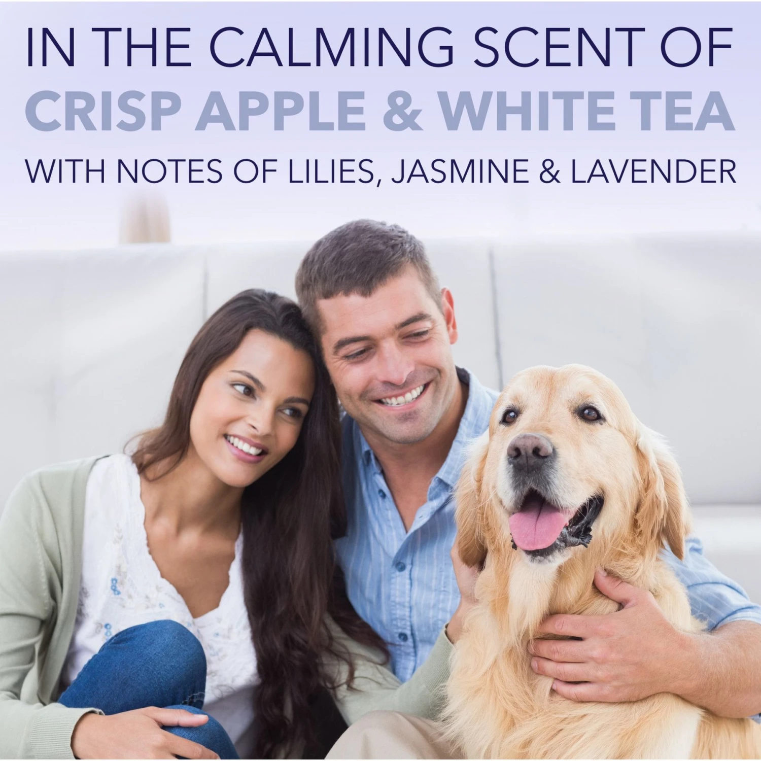 TropiClean Spa Tear Stain Cleanser For Dogs & TropiClean Spa Color White Coat Shampoo For Dogs & Cats 9 TropiClean Spa Tear Stain Cleanser For Dogs & TropiClean Spa Color White Coat Shampoo For Dogs & Cats - Image 9