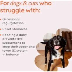 Super Snouts G.I. Balance Digestive Support Dog & Cat Supplement 9 Super Snouts G.I. Balance Digestive Support Dog & Cat Supplement -Pet Wellness 103480 PT4. AC SS1800 V1473875923