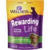 Wellness The Rewarding Life Lamb & Salmon Soft & Chewy Natural Dog Treats