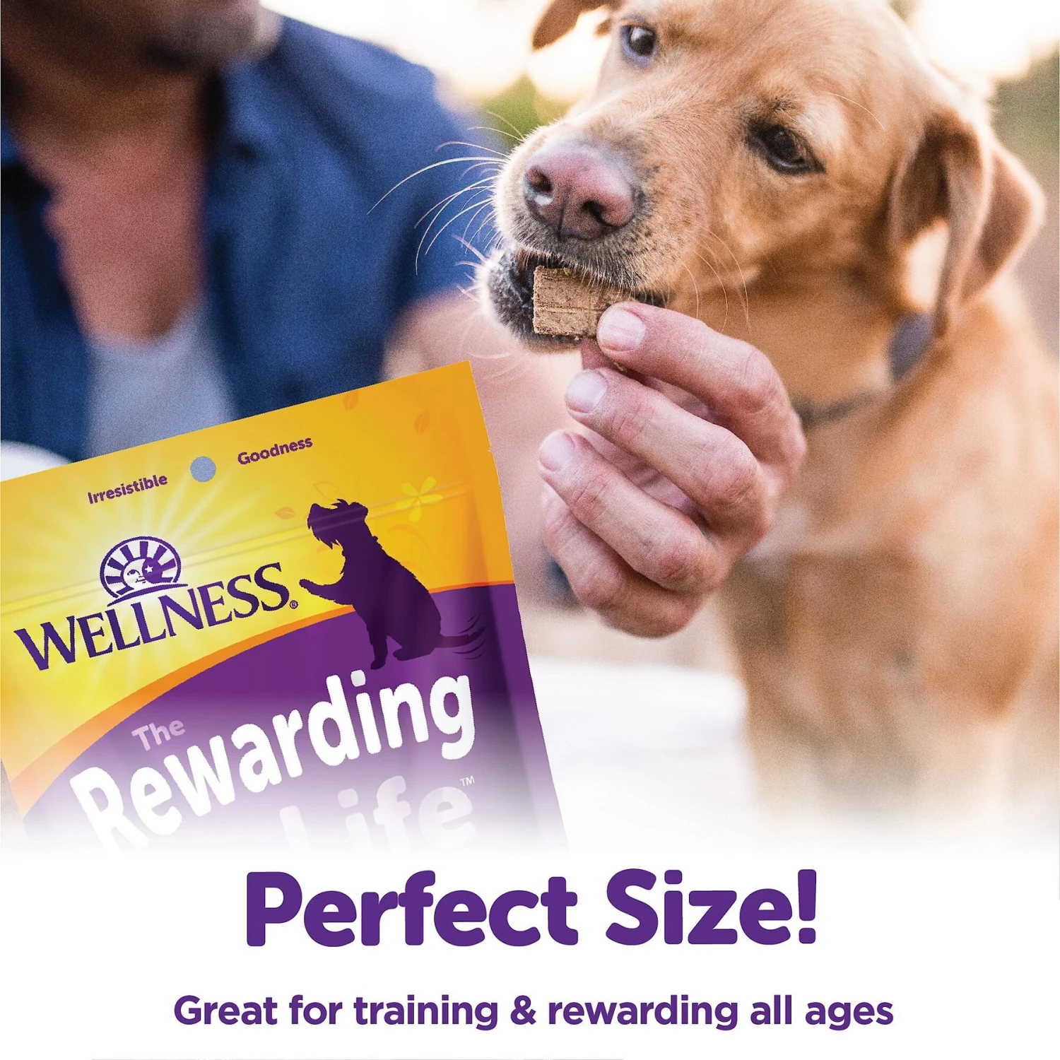 Wellness The Rewarding Life Lamb & Salmon Soft & Chewy Natural Dog Treats 5 Wellness The Rewarding Life Lamb & Salmon Soft & Chewy Natural Dog Treats - Image 5