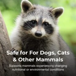 PetAg Bene-Bac Plus FOS & Probiotics Powder Supplement 6 PetAg Bene-Bac Plus FOS & Probiotics Powder Supplement -Pet Wellness 104578 PT2. AC SS1800 V1472055225