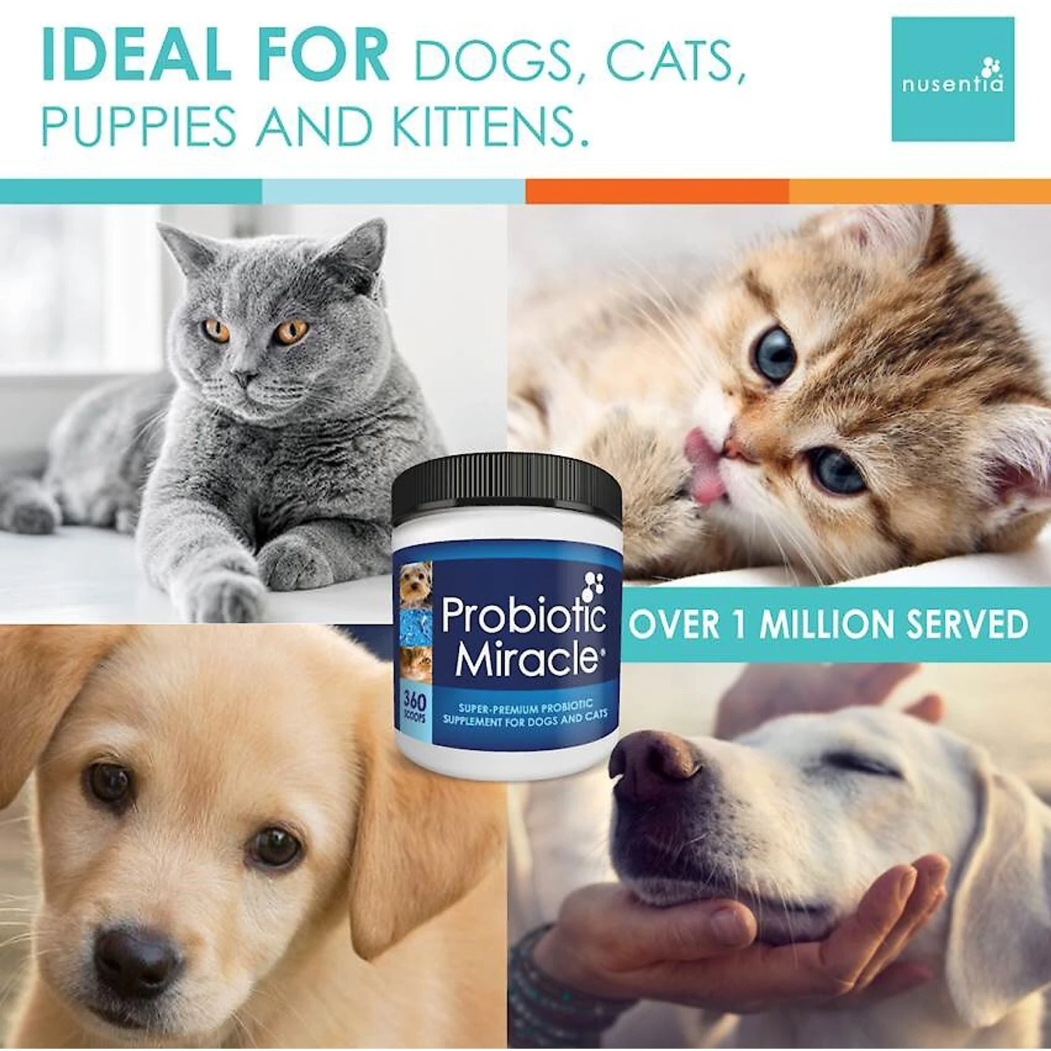 Nusentia Probiotic Miracle Premium Blend Dog & Cat Supplement 7 Nusentia Probiotic Miracle Premium Blend Dog & Cat Supplement - Image 7