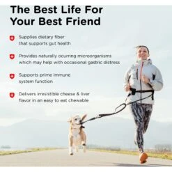 Nutri-Vet Pre & Probiotics Soft Chews Digestive Supplement For Dogs -Pet Wellness 104684 PT3. AC SS1800 V1657654933